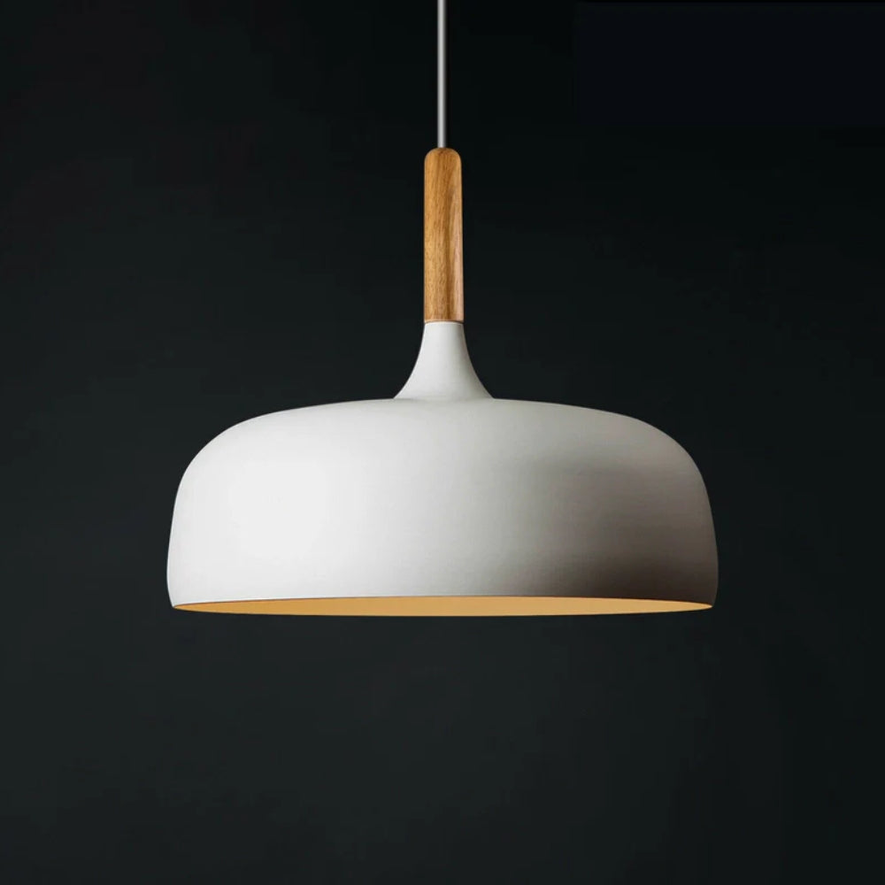 Functional Pendant Lamp – Compatible with Dimmer Switch