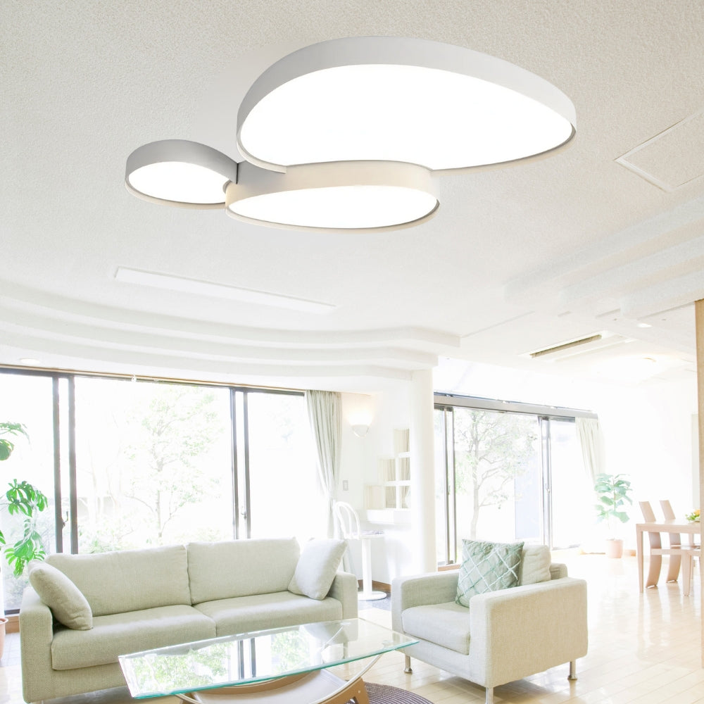 Dimmable Ceiling Lamp – Classic Shape with Adjustable Lighting