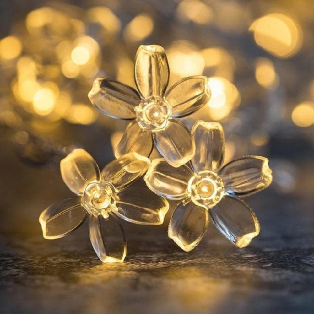 Fairy LED String Lights – Magical Multiple Bulb Shapes
